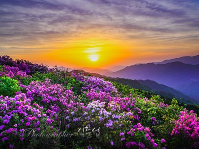 [심준섭 사진작가] 지리산 고리봉의 아침